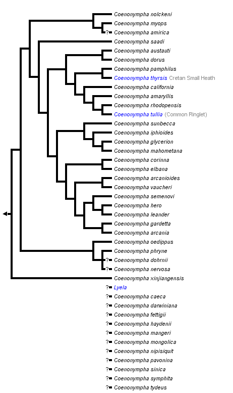 taxon links