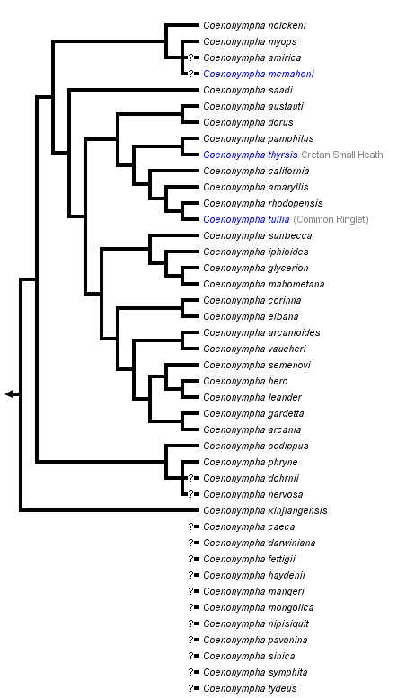 taxon links