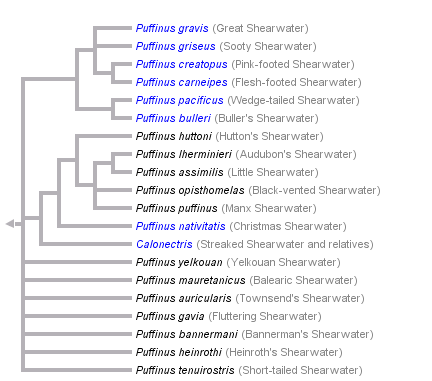 taxon links