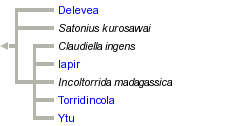 taxon links