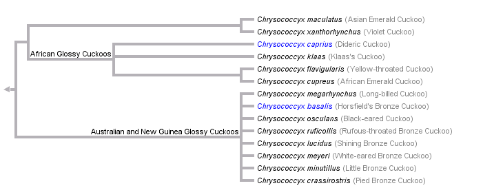 taxon links