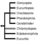 taxon links