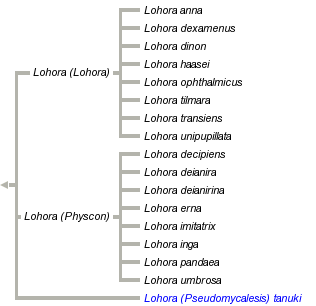 taxon links