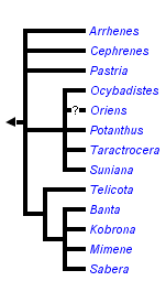 taxon links