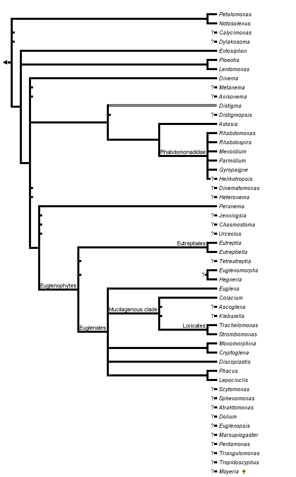 taxon links