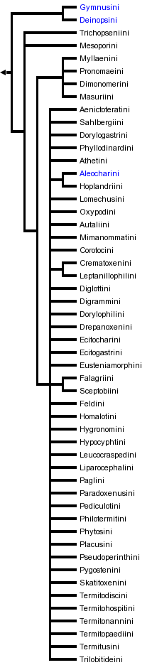 taxon links