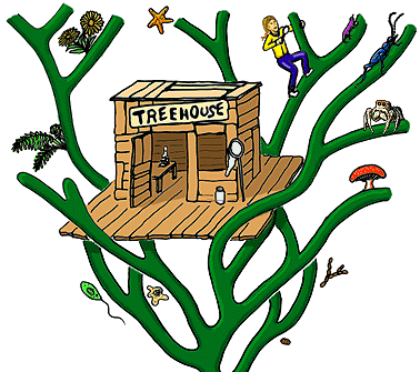 a treehouse in a phylogenetic tree