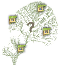 树屋需要连接到一组生物上，并在生命之树上贴上一页。问题是树屋建造者应该把他们的作品放在哪里？