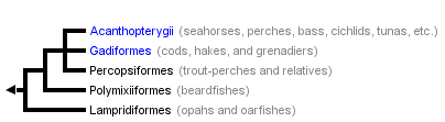taxon links