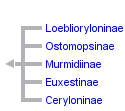 taxon links
